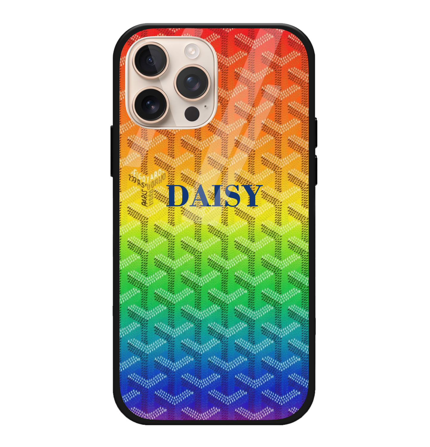 Rainbow Goyard Case