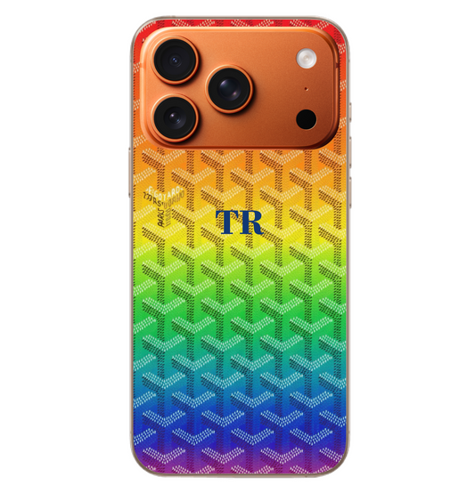 Rainbow Goyard Case